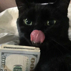Deni