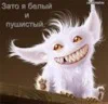Андрей Калинин