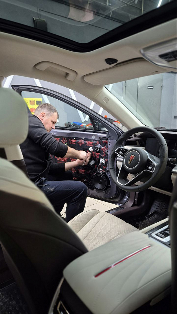 Шумоизоляция дверей Hongqi H5