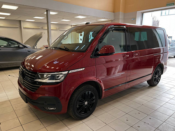 Антихром и защита зон риска для Volkswagen Multivan